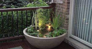 Screen image of the Aquascape Patio Pond, a prefabricated and purpose-designed option for container pond keeping. Watch the video below!