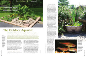 The Outdoor Aquarist, by Rachel O'Leary, presents ideas for bringing tropical fishes outside in the summer for breeding and growout.