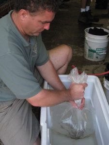 Peter Lamb preparing a bag of spotfin chub for the trip to the Cheoah River - Photo credit: Gary Peeples/ USFWS www.fws.gov/asheville/
