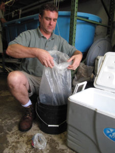 Peter Lamb of the USFWS preparing a bag of spotfin chub for the trip to the Cheoah River - Photo credit: Gary Peeples/ USFWS www.fws.gov/asheville/ | CC BY 2.0