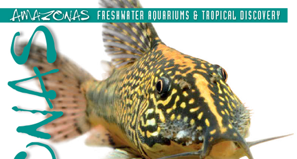 AMAZONAS Preview: November/December 2015
