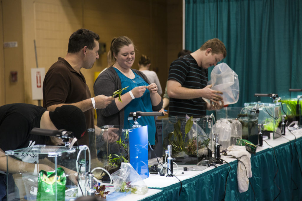 Aquascaping Live! competitors at work during Aquatic Experience - Chicago 2014. Image by Dan Woudenberg/LuCorp Marketing for the World Pet Association.