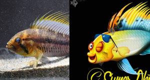 Another fresh look at a unique take on fish art!