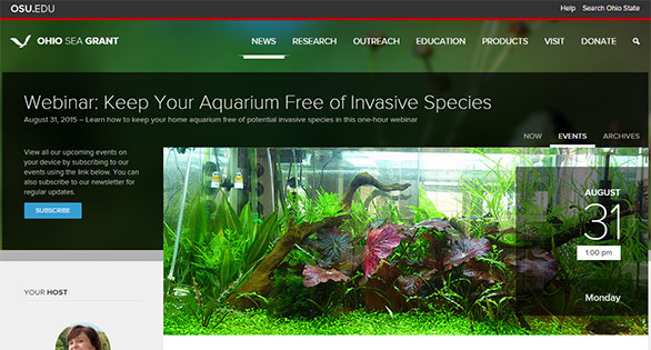 Aquatic Invasive Webinar Series – Invasive Aquarium Species, August 31st