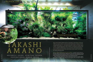 AMAZONAS contributor Steve Waldron offers a tribute to the recently departed aquascaping genius, Takashi Amano, who died in August at the age of 61. The Master's own magnificent home aquarium in Japan is shown here.