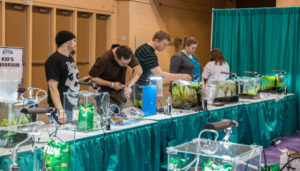 Aquascapers working fast to complete their entries for the 2014 Aquascaping Live! competition.