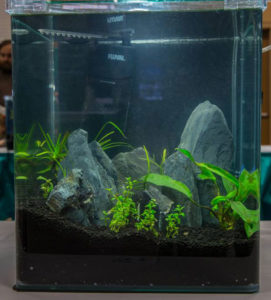 2014 Aquascaping Live! Small Tank Entry