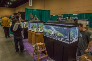 The large tank competition at the 2014 Aquatic Experience - Chicago.
