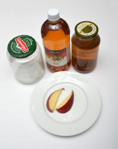 The raw materials to make a new culture - clean glass jar, apple cider vinegar, a slice of apple, and a starter culture.