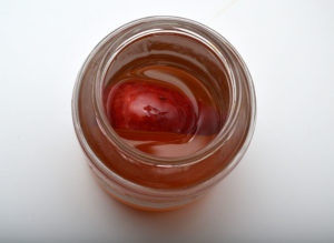 3. Top off with regular generic store bought apple cider vinegar and wait for the culture to fill in.