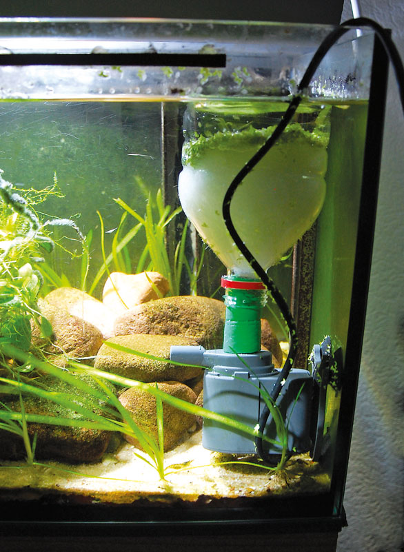 DIY Duckweed Collector - AS Magazine