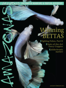 Click here to buy the January/February 2016 issue of AMAZONAS Magazine!