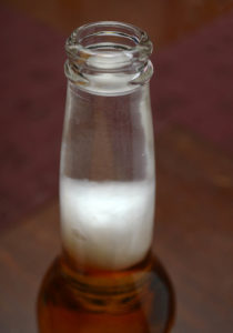 4. A day later, the freshwater layer is filled with Vinegar Eels. The water and eels can be removed with a pipette.