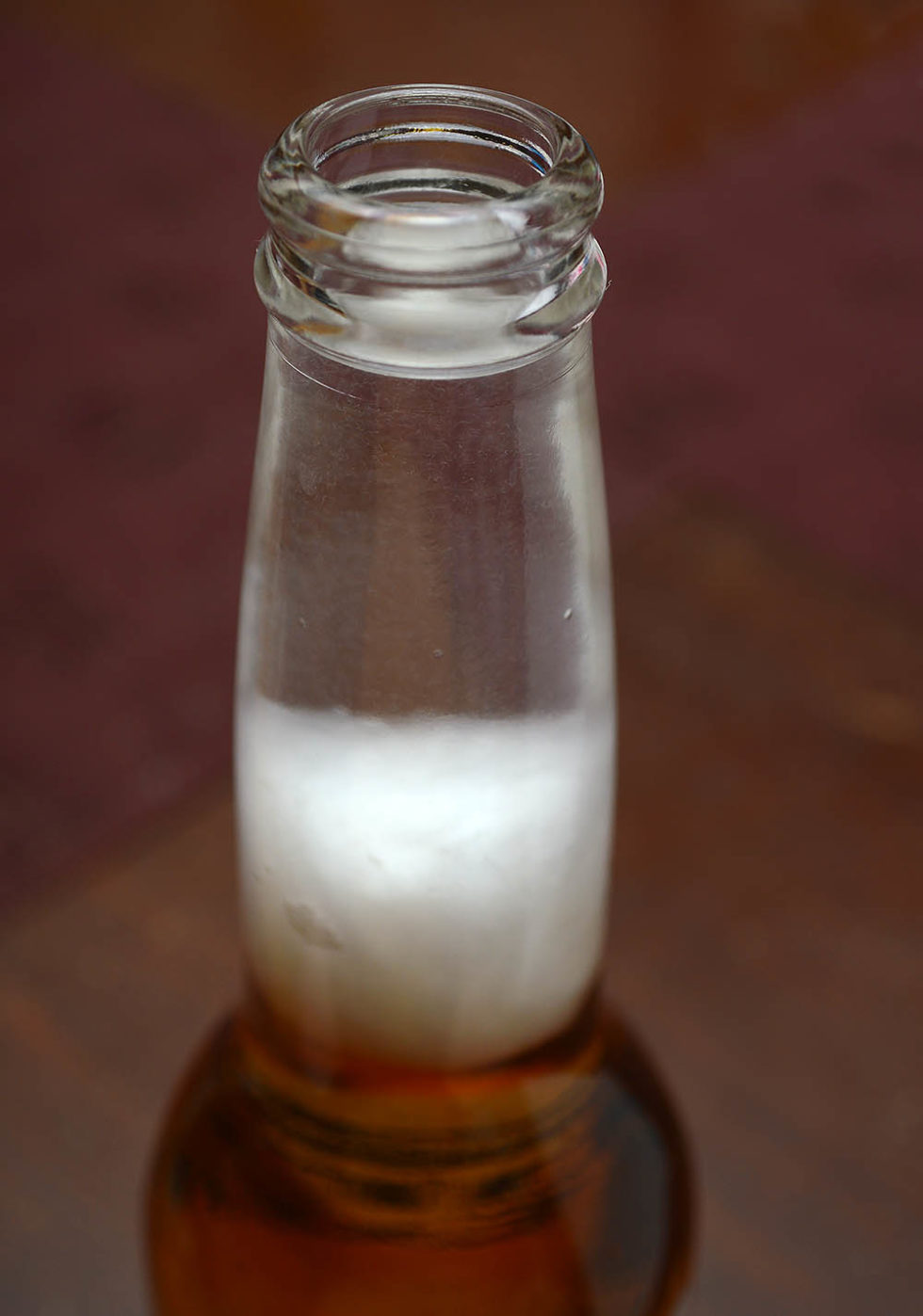 Freshwater Food Culturing 101 Vinegar Eels AMAZONAS Magazine