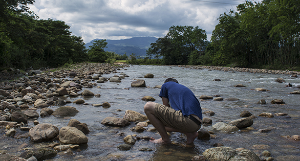 Following the Fish: First Stop, Colombia