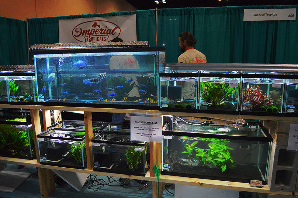 Florida Tropical Fish Farms Do you know where your fish are coming