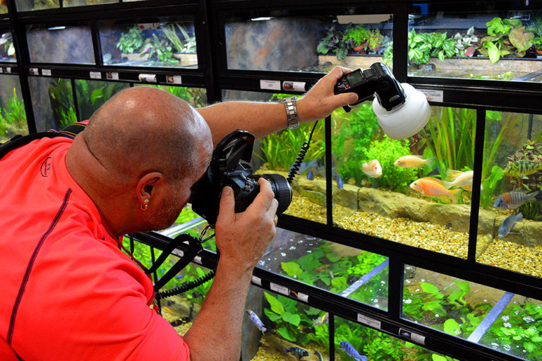 Florida Tropical Fish Farms Do you know where your fish are coming