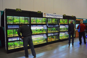Dozens of aquariums featuring the fishes of FTFFA associate member Riunemans Aquarium.