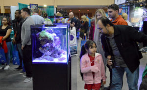 Marine Aquariums were well represented at The Aquatic Experience - Chicago. Image by CORAL / AMAZONAS Sr. Editor Matt Pedersen