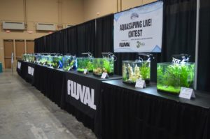 Aquascaping Live! competition at Aquatic Experience - Chicago 2015. Image by Dan Woudenberg/LuCorp Marketing for the World Pet Association.