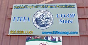 Florida Tropical Fish Farmers Association Co-Op Store - serving the everyday needs of the Floridal tropical fish farmer and beyond.