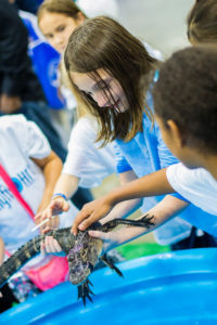 Gator Encounters was among the new exhibits at the World Pet Association’s third annual Aquatic Experience – Chicago, Nov. 6-8, 2015.