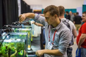 Competitors at work during the Aquascaping Live! Contest at Aquatic Experience - Chicago 2015. Image by Dan Woudenberg