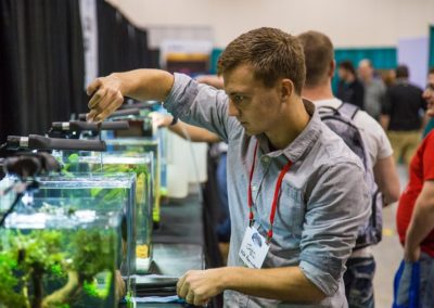 Competitors at work during the Aquascaping Live! Contest at Aquatic Experience - Chicago 2015. Image by Dan Woudenberg