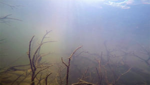 Underwater
