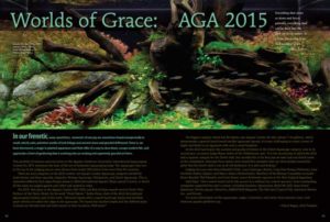 Worlds of Grace: AGA 2015 by Cheryl Rogers
