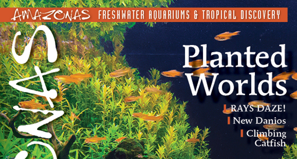 AMAZONAS Issue Preview: March/April 2016