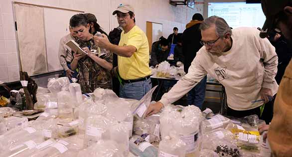 An eager crowd inspects incoming livestock at the first Surrender Event in suburban Minneapolis.