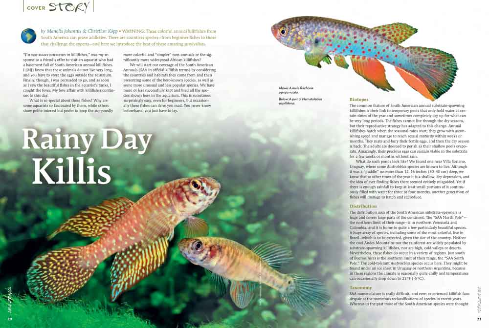 AMAZONAS “South American Killifishes” Issue Inside Look