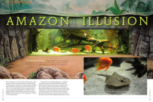 Petra Fitz invites you to the home of Marion and Dirk to be immersed in an 800 gallon Amazon Illusion.