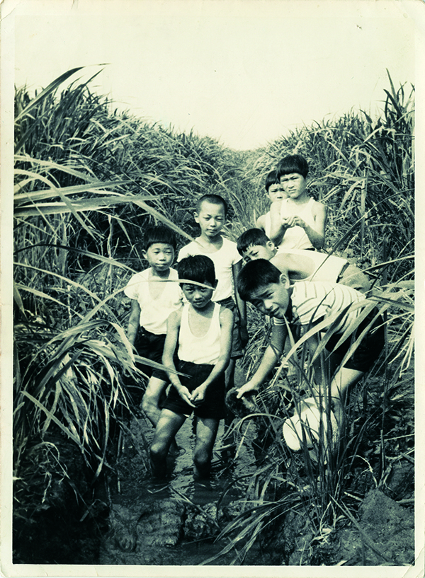 “Yoroigata Lagoon, where I used to play with my childhood friends, is the landscape of my heart.” (Takashi Amano, center, age 10, 1964). Image: Aqua Design Amano.