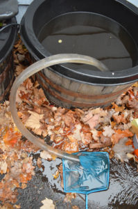 A large diameter siphon makes draining go very quick; a net placed at the other end catches any debris and fish, although none were found.
