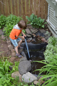 My son Ethan helping empty out the pond; I later discovered that the liner of the waterfall in the background stopped short of the pond, effectively diverting pond water into the ground. And this year, also found out it's riddled with holes! It'll be a while before I show off the restoration of my neighbor's mosquito farm.