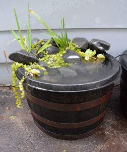 Time for things to grow in!