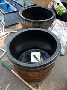 Full-depth liners and their whiskey barrels, the foundation for my container ponds.