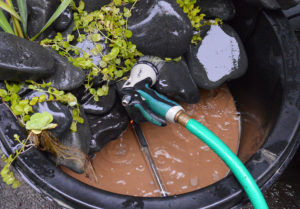 A refill of the pond; note I've yet to tuck the heater away, out of sight.