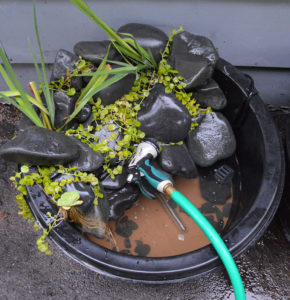 Refilling the pond and getting the equipment in place.