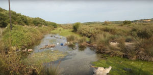"Lowland springs in the Mediterranean basin [like the Corfu Killifish habitat shown here] are increasingly under threat because of human use," reports Brian Zimmerman