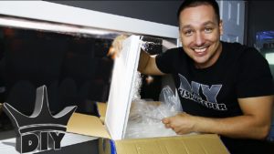 Joey Mullen unveils a surprising livestock choice for a 370 gallon freshwater aquarium.