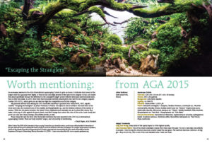 "An honorable mention in the AGA International Aquascaping Contest is quite an honor. It indicates that several of the judges rated the aquascape very highly, or that at least one judge awarded it first place in its category, writes AGA President Cheryl Rogers. Check out last year's honorees as we look forward to another year of tough competition in the AGA International Aquascaping Contest.
