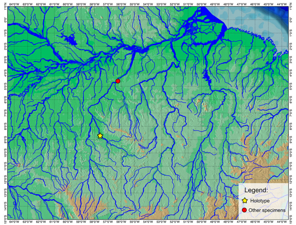 Distribution of the Itaituba Ray (P. albimaculata) on the Tapajos