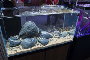 Interesting hardscape display at one of the exhibitors' booths