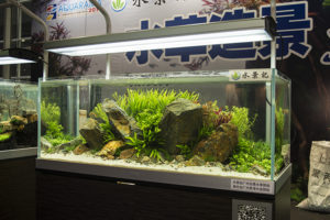 Another lushly planted scape