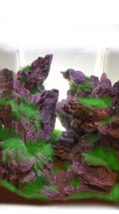 John Pini's rough idea for where plants would go in his hardscape.