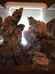 Pini's dry runs at aquascaping, in no particular order. Variation 1. Image credit: John Pini
