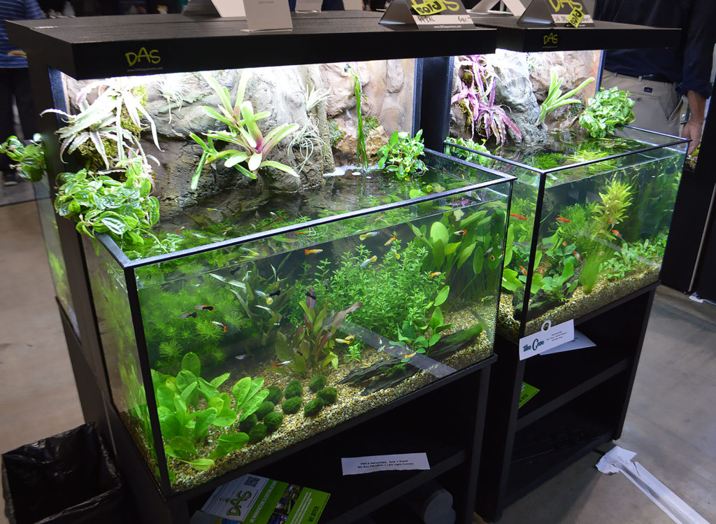 Two more side-by-side planted aquariums on display by DAS.